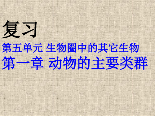 动物的主要类群复习课PPT优秀课件26 人教版