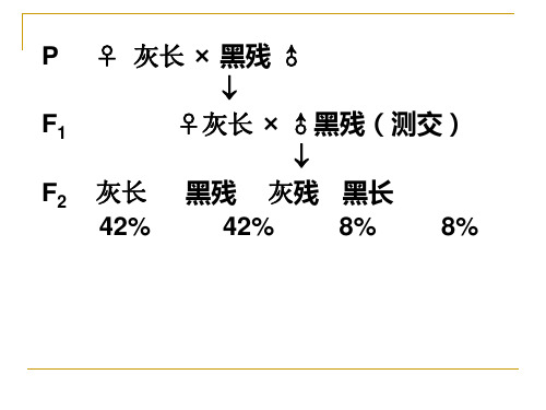 12.11 遗传定律之连锁互换