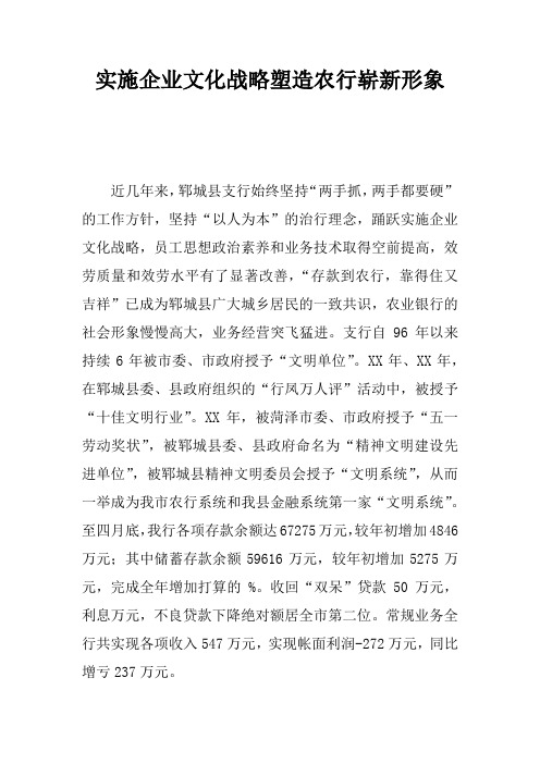 实施企业文化战略塑造农行崭新形象