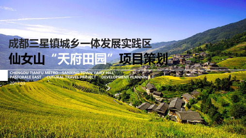 10 天府田园综合体项目