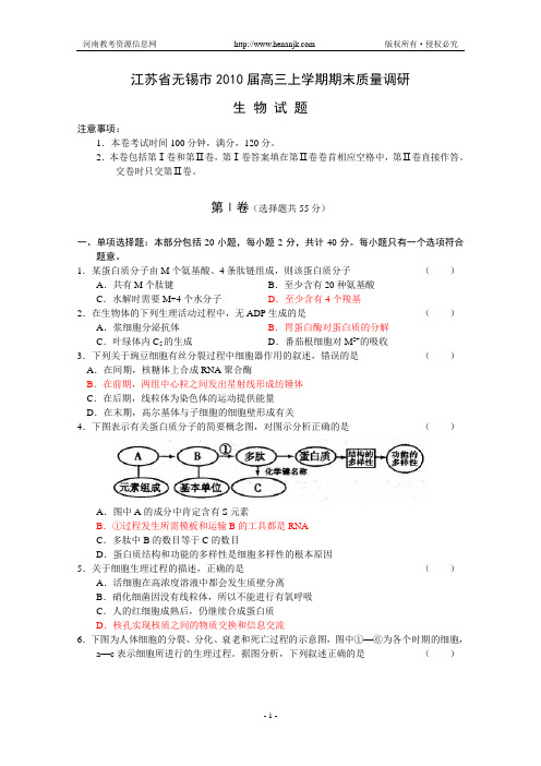 江苏省无锡市2010届高三上学期期末质量调研(生物)