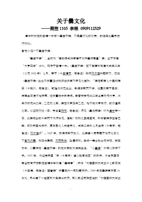 关于爨文化