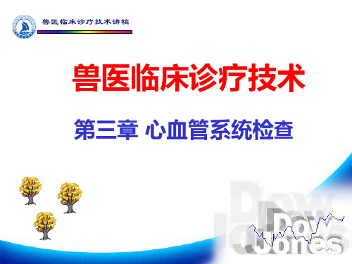 4-第三章 心血管系统检查37