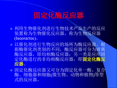 固定化酶反应器