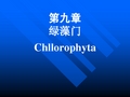 1-6绿藻门