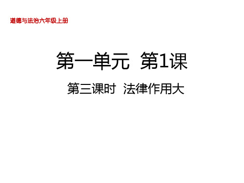 人教部编版道德与法治六年级上册1  感受生活中的法律第三课时  法律作用大课件