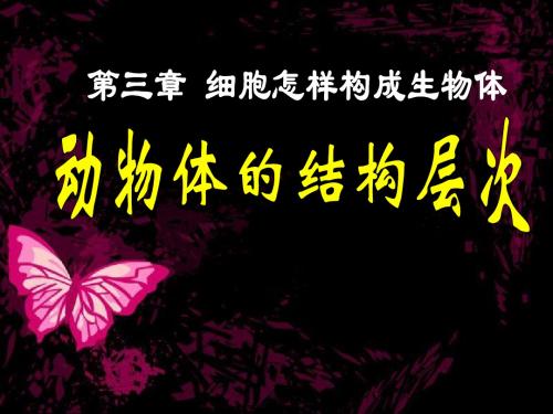 动物体的结构层次