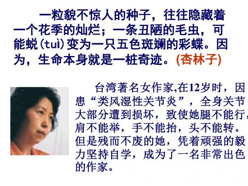 最新人教版四年级语文下册：生命 生命-优质课件