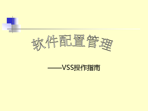 软件配置管理-VSS操作指南