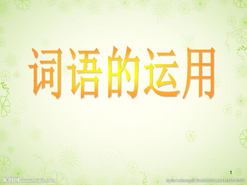词语的运用ppt课件