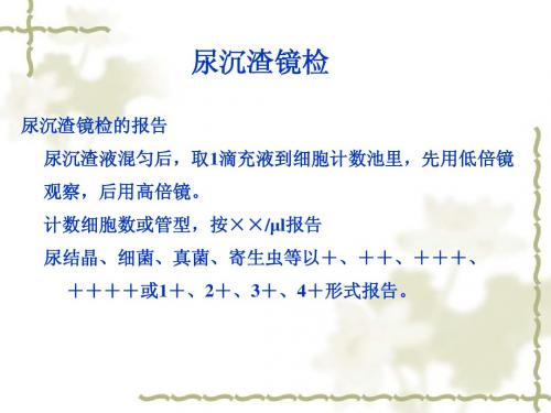 尿液显微镜检查