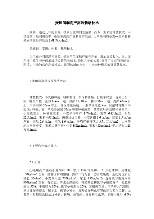 麦田间套高产高效栽培技术
