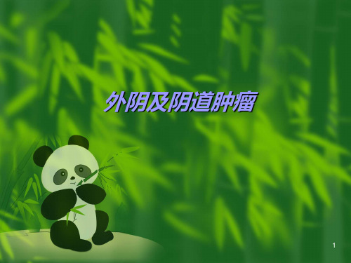 外阴阴道肿瘤ppt课件