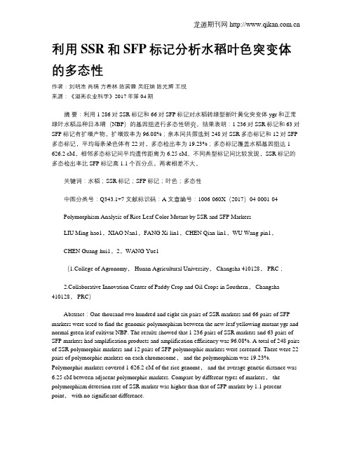 利用SSR和SFP标记分析水稻叶色突变体的多态性