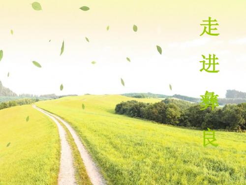 走进彝良