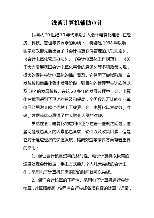 浅谈计算机辅助审计