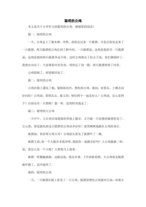 聪明的公鸡_小学作文_1