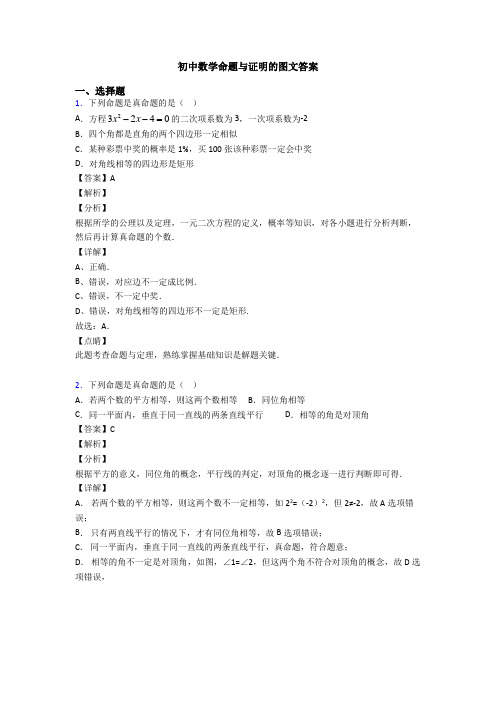 初中数学命题与证明的图文答案