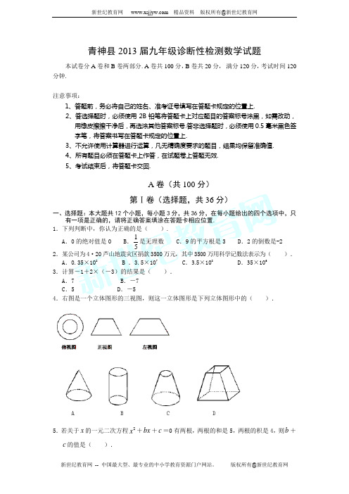青神县初级中学校2013届九年级诊断性检测数学试题