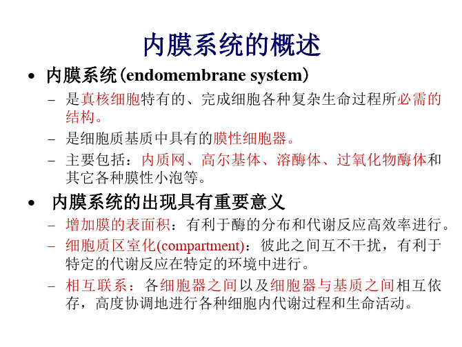 细胞生物学 3.内膜系统