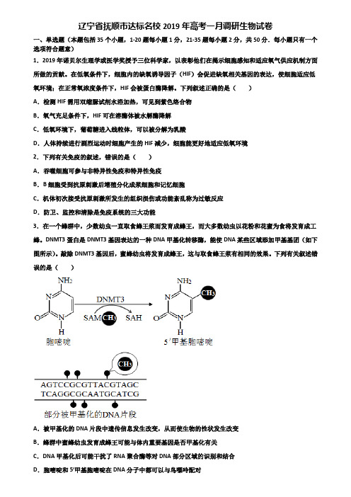 辽宁省抚顺市达标名校2019年高考一月调研生物试卷含解析