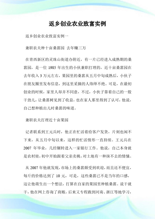 返乡创业农业致富实例.doc