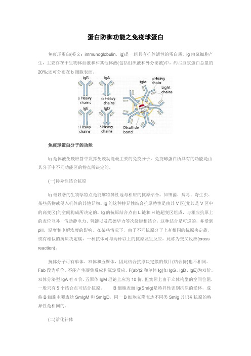 蛋白防御功能之免疫球蛋白