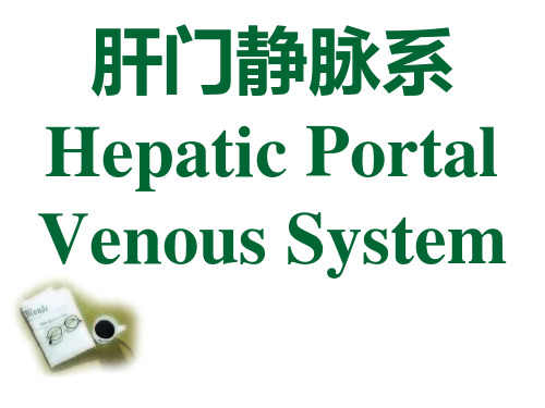 肝门静脉系PPT课件