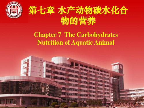 水产动物营养和饲料学7-水产动物碳水化合物的营养