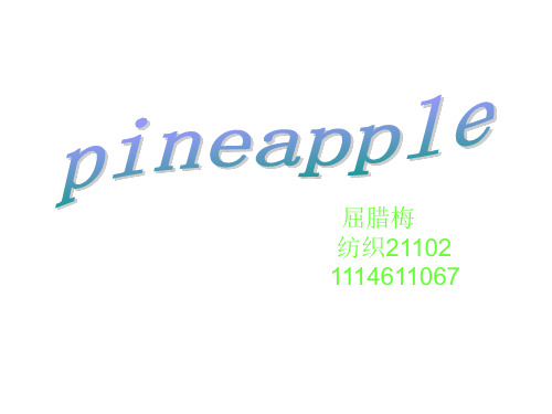 现代纺织技术PPT