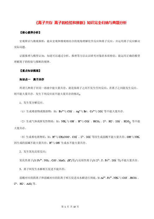 《离子共存 离子的检验和推断》知识完全归纳与典题分析(解析版)