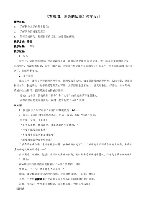 人教版八年级语文下册《三单元  阅读  12 .罗布泊,消逝的仙湖》研讨课教案_32