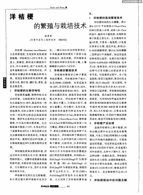 洋桔梗的繁殖与栽培技术
