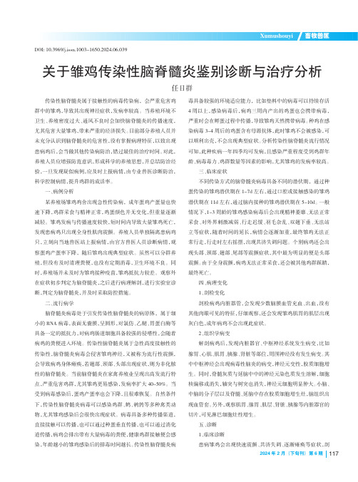 关于雏鸡传染性脑脊髓炎鉴别诊断与治疗分析