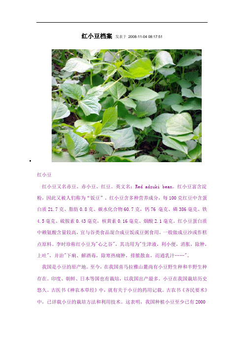 红小豆-2008