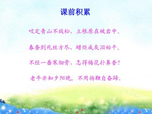 《借物喻人》作文指导