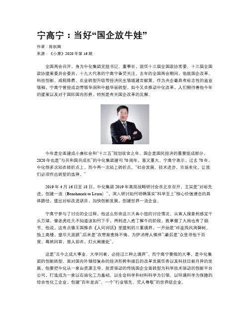 宁高宁：当好“国企放牛娃”
