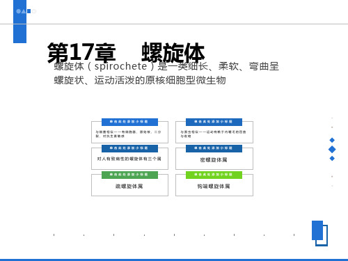 医学微生物学课件-第17章螺旋体