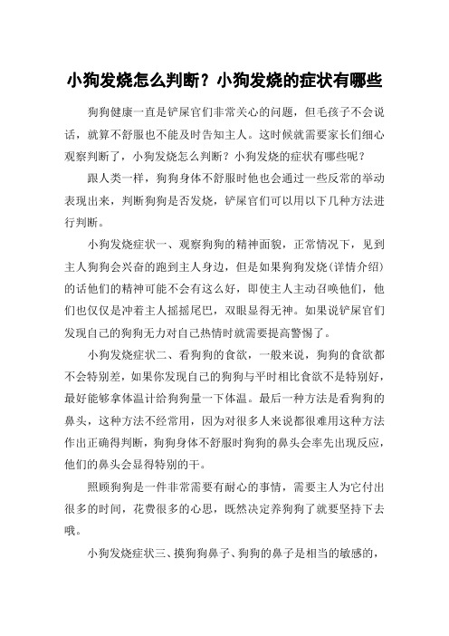 小狗发烧怎么判断？小狗发烧的症状有哪些