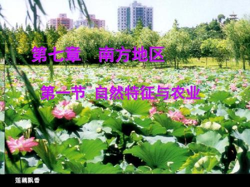 第七章南方地区第一节_自然特征与农业