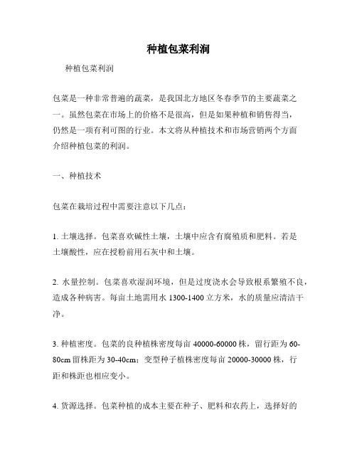 种植包菜利润