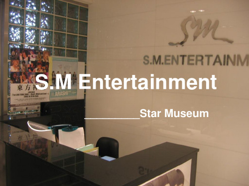 SM公司介绍