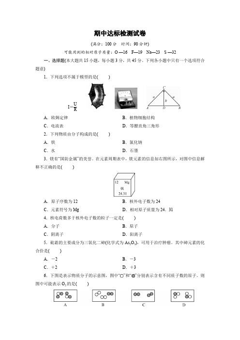 浙教版八年级科学下册 期中达标检测试卷(含答案)