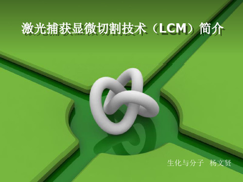 LCM技术