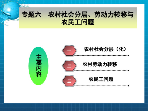 专题六农村社会分层、劳动力转移与农民工问题