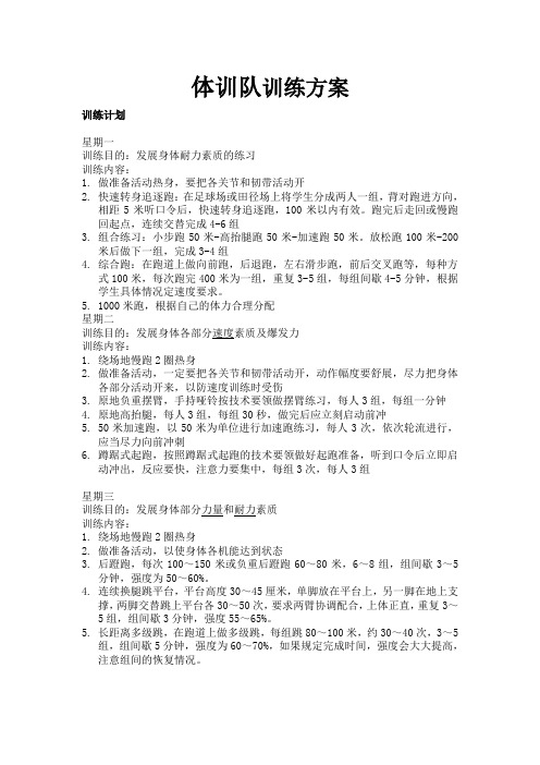 体训队训练方案