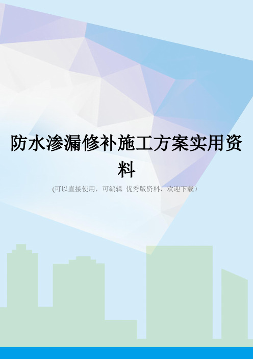 防水渗漏修补施工方案实用资料