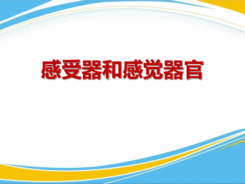 《感受器和感觉器官》PPT课件【优秀课件】