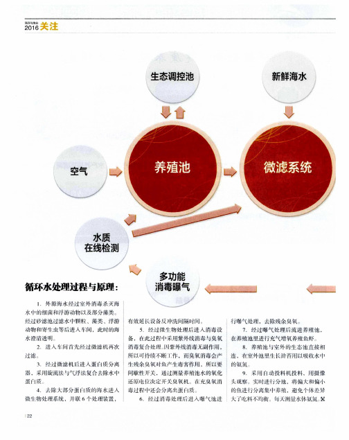 工厂化循环水养殖