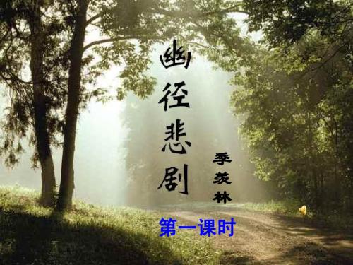 23、《幽径悲剧》课件(2011.12)